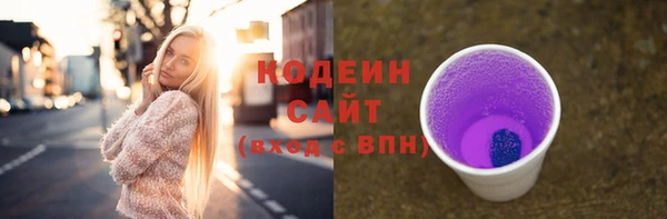 круглые Пересвет