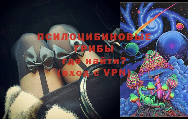 круглые Пересвет