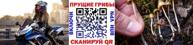 Псилоцибиновые грибы GOLDEN TEACHER  Армянск 